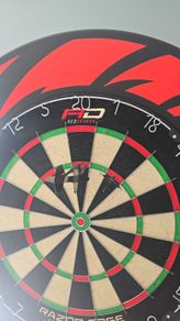 Dart board with stand, surround and oche