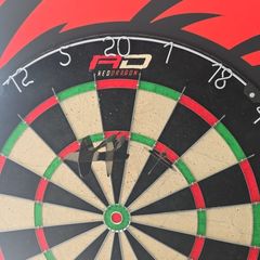 Dart board with stand, surround and oche