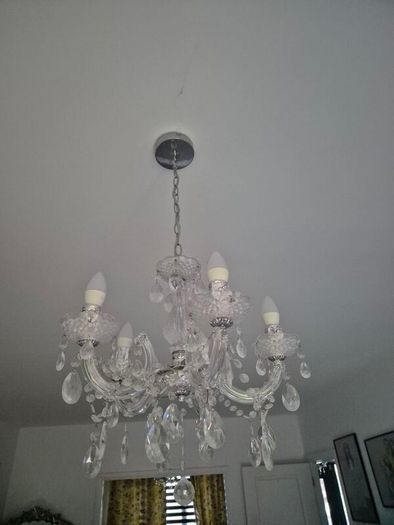 Ceiling lights - woodies