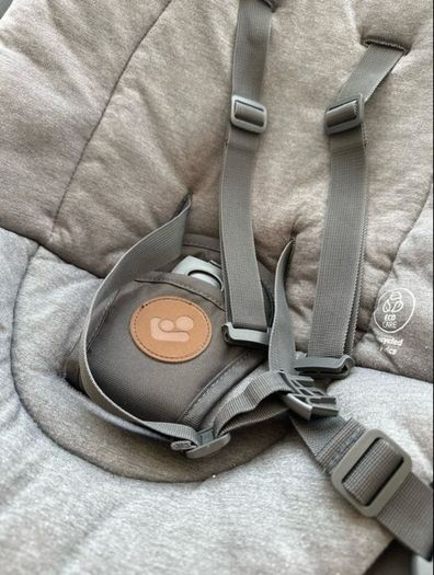 Baby bouncer