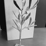 Silverplated Greek olive tree Image 7