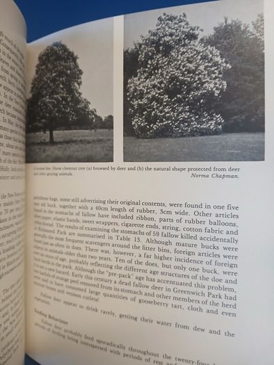 Fallow Deer book