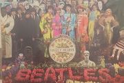 The Beatles LP  (Irish) - Sgt. Peppers...
