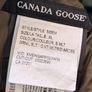 canada goose Image 5