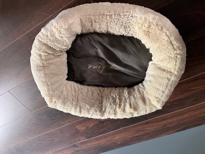 cat bed