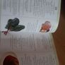 Healing foods Image 3