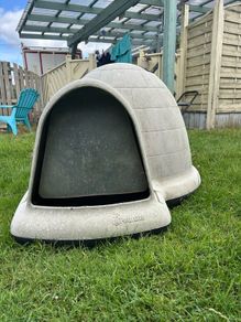 Dog igloo box