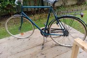 adults bike