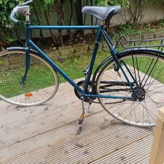 adults bike