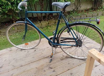 adults bike