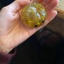 Rare Golden Glitter Dumpling! Image 3