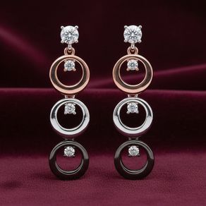 Mixed Metal Modern Circles Earnings