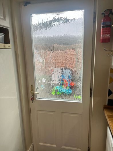 Back Door for Sale