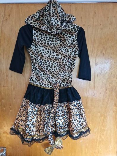 Fancy Dress Halloween Cat costume dress