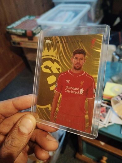 Steven Gerrard