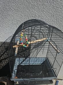 bird cage