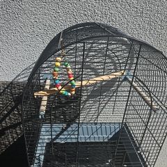 bird cage