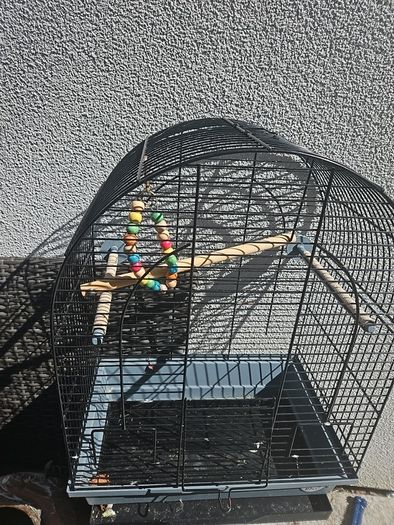 bird cage