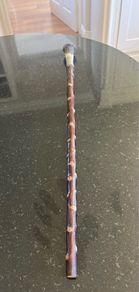 Blackthorn showing stick