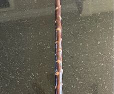 Blackthorn showing stick