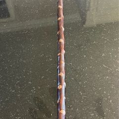 Blackthorn showing stick