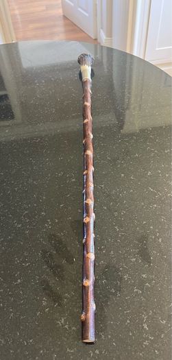 Blackthorn showing stick
