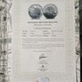 silver micheal Collins coin Image 2