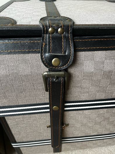 Vintage style trunks