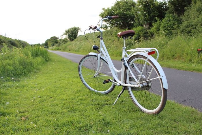 Dutch Style 3 Speed City Bike Hub Gears, Lights & Rear Pedal Brake