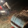 Barley Straw Image 3