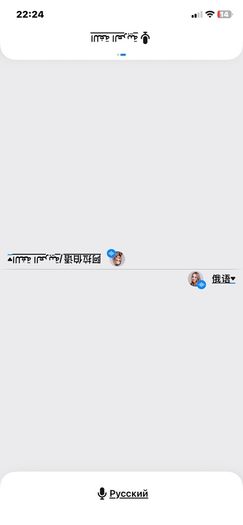 Language translator