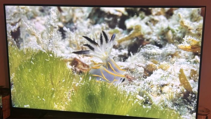 Samsung 50" QLED 4K Smart TV + Hisense HS214 Soundbar