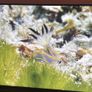 Samsung 50" QLED 4K Smart TV + Hisense HS214 Soundbar Image 2