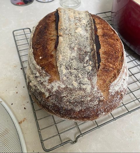 Sourdough starter Organic