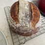 Sourdough starter Organic Image 10