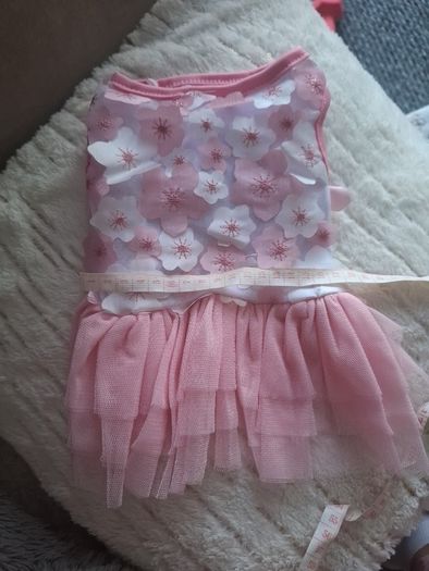 Dog dress