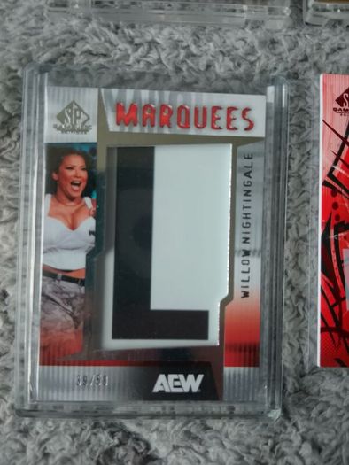 AEW Card Lot