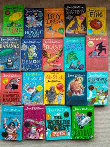 David Walliams Books (19)