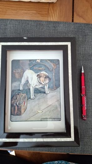 antique print the bulldog