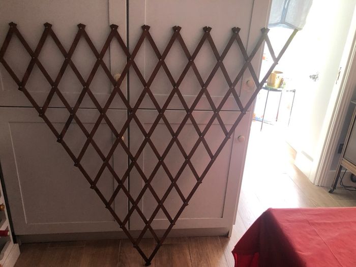 Expandable Trellis
