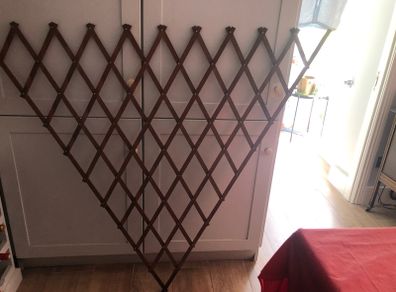Expandable Trellis