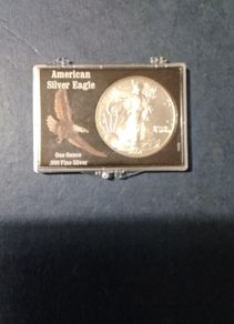 Usa  Silver Dollar