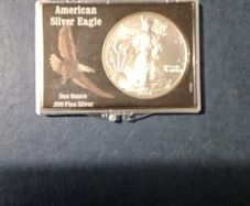 Usa  Silver Dollar