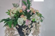 hanging basket cream pink