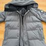Canada goose Image 2