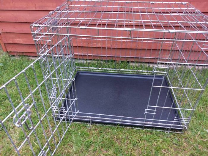 medium dog travel crate