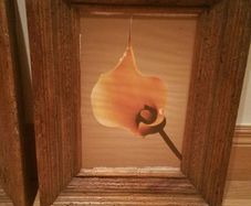 Matching Pair of 'Distressed' Finished Picture Frames with Simple Floral Prints