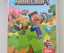 nintendo switch minecraft