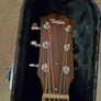 Taylor gc3 (312) grand concert guitar Image 3