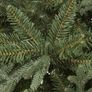 Christmas tree Image 5